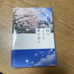 桜のような僕の恋人
