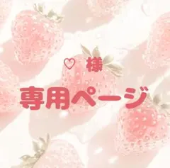 専用ページ