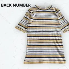 バックナンバー リブ 半袖 カットソー L ボーダー 薄黄色 マルチカラーのサムネイル