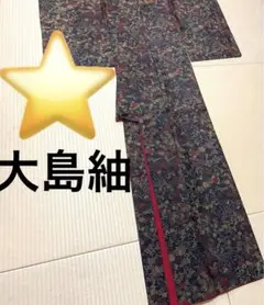 ⭐️大島紬 黒地 染め 小紋