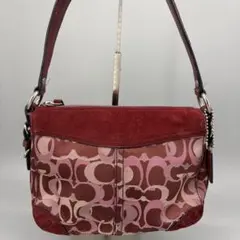 Coach Chelsea Optic Signature Hobo Bag