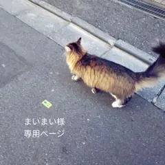 まいまい様専用ページ　10cmぬい服 12cmぬい服