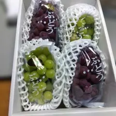 koume様　山梨県産　当園イチオシ♥　幸茜　2kg箱　 甲斐キング　2kg箱 koume様 山梨県産 当園イチオシ♥ 幸茜 2kg箱 甲斐キング 2kg箱 - メルカリ