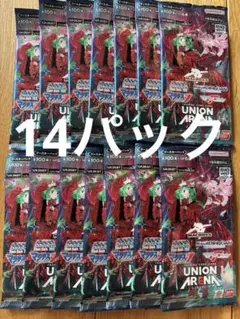 ユニオンアリーナ マクロス 14パック MACROSS
