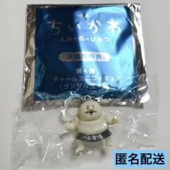映画ちいかわ 人魚の島のひみつ 入場者特典 チャームミニフィギュア 島二郎