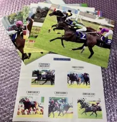 2002年度JRA授賞馬ゴール前生写真5枚セット