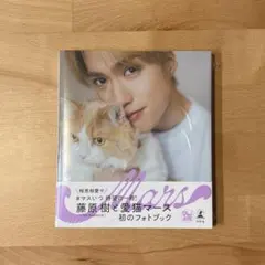 2026年最新】藤原樹 マースの人気アイテム - メルカリ