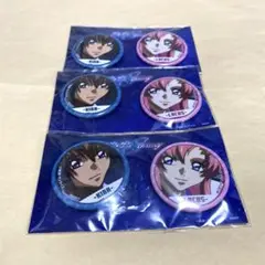 ガンダム SEED DESTINY ペア缶バッジ（3個）キラ & ラクス