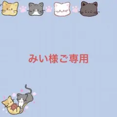 みい様ご専用