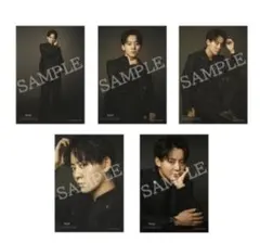 Item thumbnail for item d7f6ef47-a97d-4728-a9ab-3f46b9f01eba