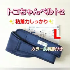 Item thumbnail for item 1a7e67fe-343d-45f6-9a00-b5b10380b608