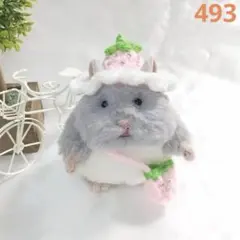 493 はむにぎりサイズ 苺帽子といちごポシェットセット ぬいぐるみ洋服 ぬい服