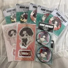 ウィンドブレーカー 蘇枋隼飛