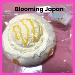 ブルーミングジャパン マンゴーアイスボウル Bloomingjapan 袋 タグ