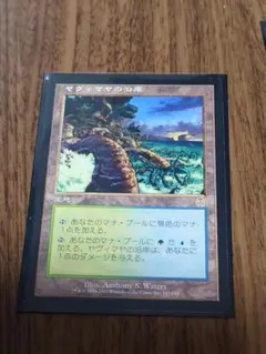 MTG ヤヴィマヤのうろ穴 2枚 英1 、日1 - メルカリ