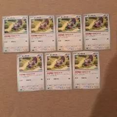 ホシガリス　7枚セット