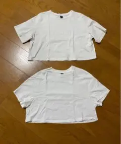 ホワイト クロップドTシャツ 2枚セット