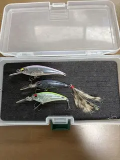 Item thumbnail for item e4a0767c-4b5d-4a6a-ab65-4ee3b6a30494