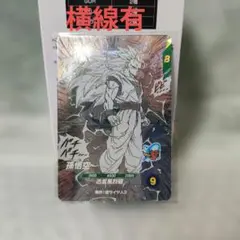 ドラゴンボール アドバンスパック APT-006