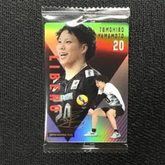 バレーボール ウエハース2 b4