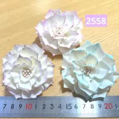 ソラフラワー　2558