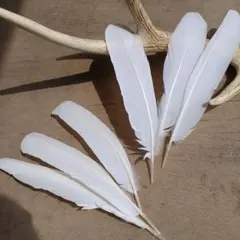 がぁ様 リクエスト 3点 まとめ商品