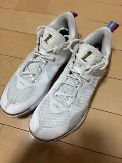 レア】 NIKE ナイキ テニスシューズ ズームヴェイパー9.5 フライニット