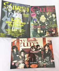 Cure & Stuppy V系 雑誌 己龍付録(未開封) 付き