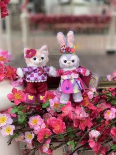 香港ディズニー新春限定ステラルー、リーナベル ぬいぐるみキーチェーン 2点セット