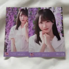 LOVE イコラブ 野口衣織 生写真 【桜の咲く音がした、セミコン