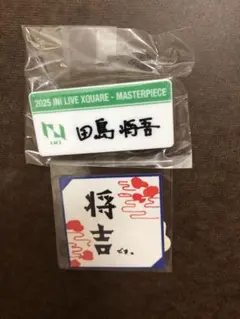 さぁたえ様専用 田島将吾MASTERPIECE カプセルトイ 未開封