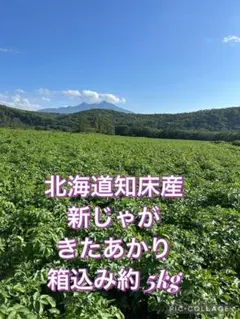 北海道知床産 新じゃが きたあかり 箱込み約5kgのサムネイル