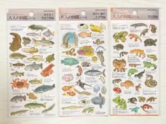 【国内正規品】　大人の図鑑 シール ３種　カミオジャパン