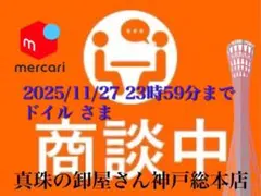 【新品・百貨店商品・神戸総本店】S-537 ドイル さま　商談中ページ
