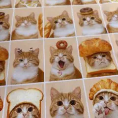 ぺー☆12月で一旦出品を終了します様 リクエスト 4点 まとめ商品