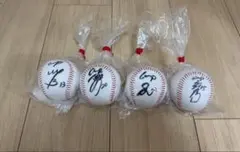 ⭐︎東北楽天イーグルス⭐︎ 野村克也 元監督 直筆サインボール ロゴ球
