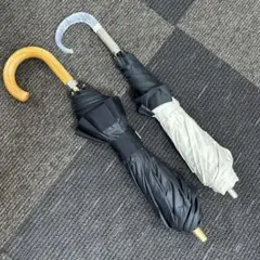 Item thumbnail for item cf6d5414-cb9a-4644-ab0b-89f1fd594b3c