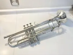 Item thumbnail for item f685762e-7df3-4bda-a78f-b0739775db91