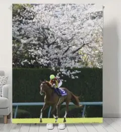 競馬　ラッキーライラック　毛布　ブランケット