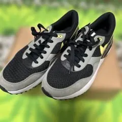 NIKE AIR MAX 28.5cm