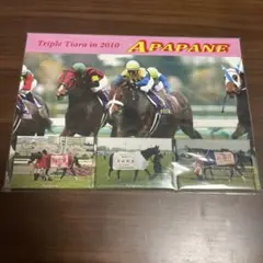 【アパパネ】全G1的中馬券セット(牝馬三冠馬券含む／全現地馬券) 新潟8R・阿賀野川特別】牝馬3冠アパパネの息子アマキヒが3