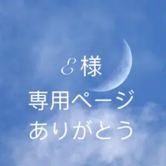 E様専用ページ　250