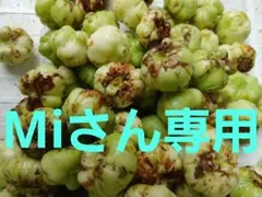 またたび虫瘤1㌔以上になります。 - メルカリ