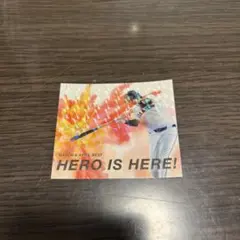 読売ジャイアンツ　ボビーダルベック　hero is here