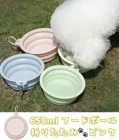 Item thumbnail for item 33586427-f321-4075-9b37-d3500cbb2a4a