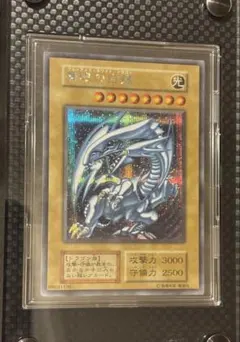 海馬セット　シクブル3枚セット　ディスプレイ無し 2025年最新】海馬セット シクブルの人気アイテム - メルカリ