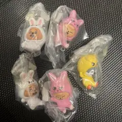 SKZOO つまんでつなげてますこっと vol.2 スキズ　ガチ