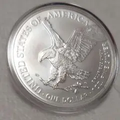 (卸)アメリカ合衆国 ウォーキングリバティ 他 金貨 銀貨 全6枚 A1203 イーグル（ウォーキングリバティ）純銀 1オンス】2023年