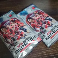 JAPAN NATIONAL VOLLEYBALL TEAM 2025　2個