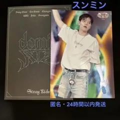 スンミン　ラントレ　ランダムトレカ　Straykids スキズ VR